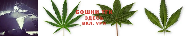 apvp Богородицк