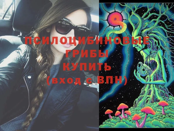 прущая мука Богданович