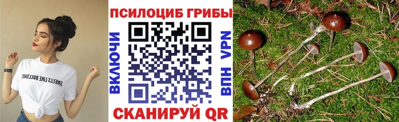 Псилоцибиновые грибы GOLDEN TEACHER  Пересвет 